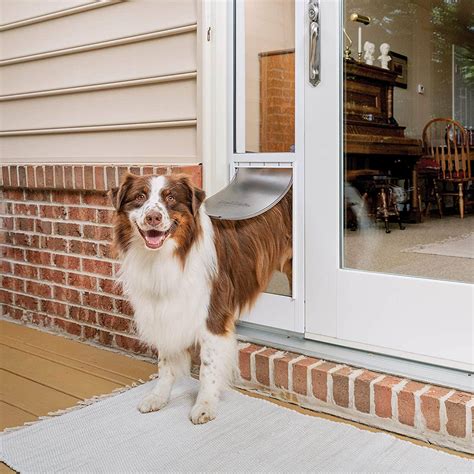 replacement door for doggie